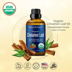 Nexon Botanics cinnamon oil in diffuser setup for aromatherapy