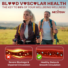 Ingredients chart for Nextdia Red Yeast Rice Gummies highlighting CoQ10 and plant sterols.