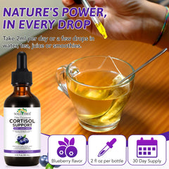 NIFEISHI drops with Ashwagandha and magnesium for resilience.