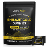 NIFEISHI Shilajit Gummies bottle label highlighting mineral-rich formula for daily vitality.
