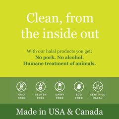 Noor Vitamins Prenatal DHA folic acid essential nutrients for development