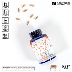 Panax ginseng capsules arranged for a daily routine and focus