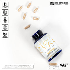 Nootropics Depot hesperidin capsules label close-up, reveals 90% citrus extract content.