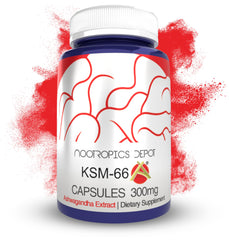 Nootropics Depot KSM-66 Ashwagandha capsules bottle for calm focus and resilience.