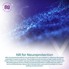Close-up of label on Nootropics Depot NR capsules highlighting NAD+ precursor