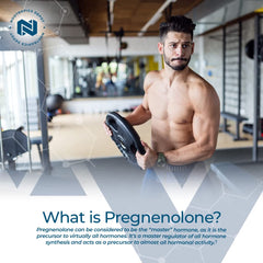 Nootropics Depot Pregnenolone packaging emphasizes travel-friendly, convenient daily dosing.