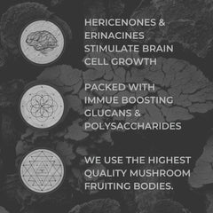 Nootrum Mushrooms capsules in packaging emphasize quality and potency