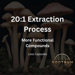 Nootrum Mushrooms label detail highlights safety and potency standards
