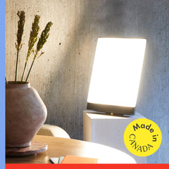 Northern Lights Boxelite UV-free light minimizes glare while boosting mood during work.