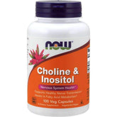 NOW Foods Choline and Inositol 500mg bottle front with capsules for brain support