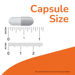 NOW Foods Liver Refresh capsules on a clean surface symbolizing enzyme blend for daily detox support.