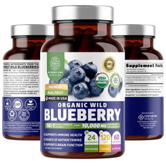Number One Nutrition Wild Blueberry Extract front bottle for easy daily antioxidant support