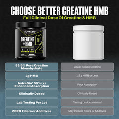NutraBio Creatine + HMB powder scoop ensures precise dosing for consistent workouts.