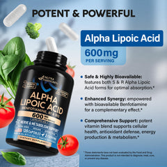Antioxidant support visual representing comprehensive protection for wellness