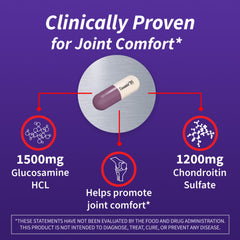 Nutramax Cosamin DS capsules in hand demonstrate convenient daily joint care.