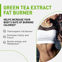 Nutramode green tea extract capsules close-up for appetite control.