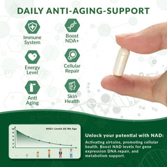 NUTRAONDA Liposomal Nicotinamide Riboside capsules ready for NAD+ boosting routine.