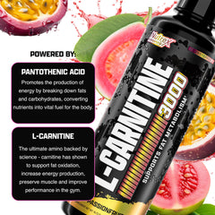 Nutrex Research Liquid Carnitine 3000 liquid-absorption emphasis on fast uptake.