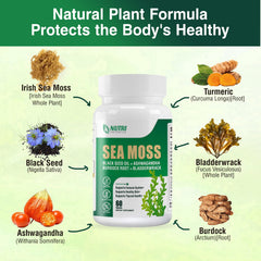 Nutri Potentia Ashwagandha blend with sea moss capsules