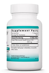Close-up of Nutricology Artemisia 500mg vegetarian capsules