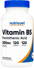 Nutricost Pantothenic Acid 500mg capsules close-up highlighting purity and daily energy support potential