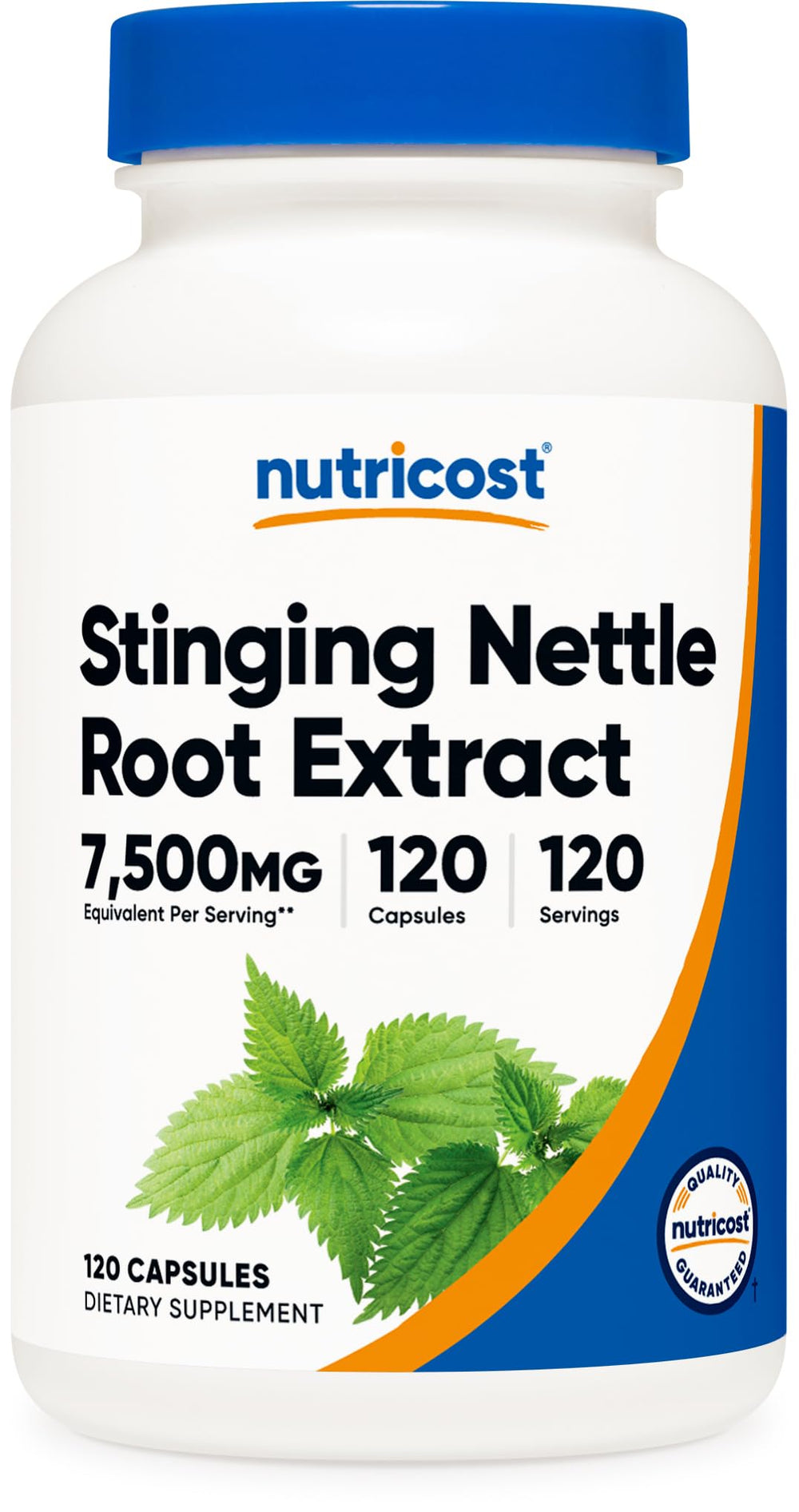 Nutricost stinging nettle root bottle shows high potency 7500mg equivalent for daily wellness