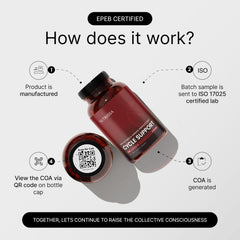 Nutriissa Cycle Support kidney cleanse bottle implies healthy renal function for athletes.