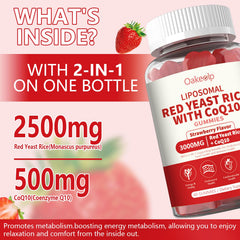 Oakevlp red yeast rice bottle showing two-pack value and label