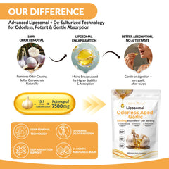 Obill NuTrance 24-month aged garlic close-up highlighting aging and potency