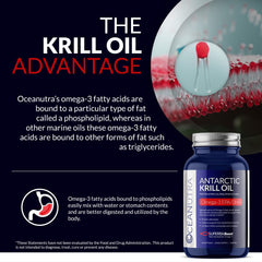 Oceanutra Krill Oil wild-caught Antarctic krill source illustration.