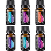 O'Linear essential oils six-blends set diffuser bottles create inviting home aroma.