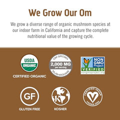 OM Mushroom Superfood Chaga powder shot conveys natural resilience and flavor.