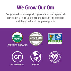 OM Mushroom Hot Chocolate canister label showing 30 servings.