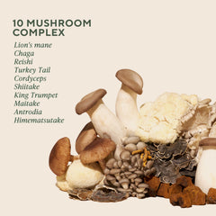 Label closeup highlights 10 mushrooms and beta-glucans for gut health