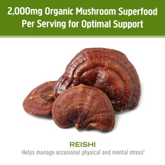 OM Mushroom Reishi powder on coffee demonstrates convenient daily ritual