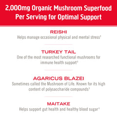 Shaker bottle with OM Mushroom Superfood Immune Blend mixed into a drink