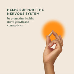 OM Mushroom Superfood Lions Mane capsules closeup, 60-serving supply for cognitive support