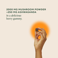 Close-up of OM Mushroom Superfood gummies bottle with mixed berry flavor for daily wellness.