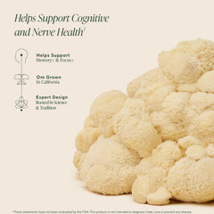 OM Mushroom Superfood Om Lion’s Mane capsules on desk suggest easy daily routine for concentration.