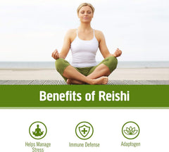 OM MUSHROOM SUPERFOOD Reishi organic label highlights certifications.