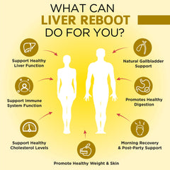 OmniBiotics artichoke-extract-visual: showcases a modern detox support concept.