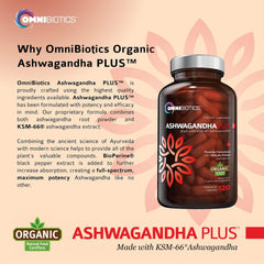 OmniBiotics ashwagandha extract capsules close-up showing full-spectrum root content.