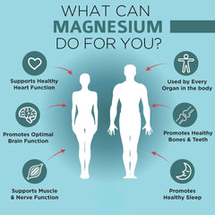 OmniBiotics Magnesium Glycinate purity seal—NSF-certified, clean supplement.
