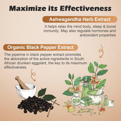 OMOGS Ashwagandha label close-up highlights non-GMO credentials and GMP manufacturing.