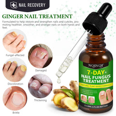 OMZOK ginger nail growth serum bottle highlights nourishing formula for stronger nails.