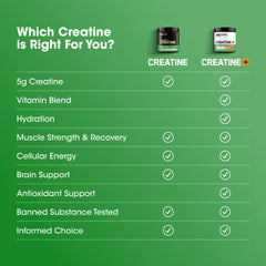 Pouring Optimum Nutrition creatine micronized powder into a glass for mixing.