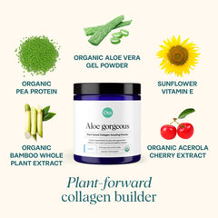 Ora Organic Aloe Gorgeous scoop beside glass showing hydration and vitality.