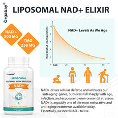Orgabay Liposomal NAD+ bottle being poured suggests an easy daily routine.