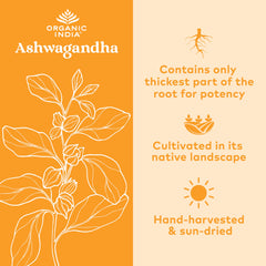 Organic India Ashwagandha capsules closeup of texture and pill