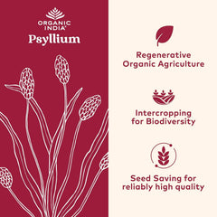 Close-up of ORGANIC INDIA psyllium powder texture suitable for smoothies.